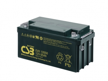 CSB蓄电池EVX12650（12V65AH）
